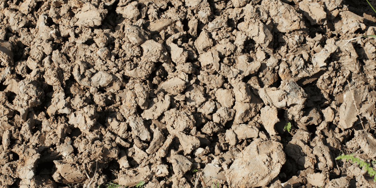 An image of clay soil